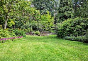 Optimiser l'expérience du jardin à Milon-la-Chapelle